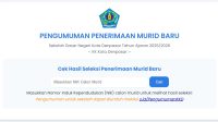 HASIL seleksi Sistem Penerimaan Murid Baru (SPMB) Kota Denpasar tahun ajaran 2025/2026 jenjang SD Negeri diumumkan, Jumat (27/6/2025) untuk calon murid KK Kota Denpasar. Sementara hasil seleksi calon murid KK luar Kota Denpasar diumumkan pada Senin (30/6/2025). Foto: ist HASIL seleksi Sistem Penerimaan Murid Baru (SPMB) Kota Denpasar tahun ajaran 2025/2026 jenjang SD Negeri diumumkan, Jumat (27/6/2025) untuk calon murid KK Kota Denpasar. Sementara hasil seleksi calon murid KK luar Kota Denpasar diumumkan pada Senin (30/6/2025). Foto: ist