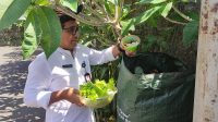 KOMPOSTER bag menjadi salah satu pilihan yang mudah, murah dan efektif Kelola sampah organic di rumah dengan area terbatas, seperti perumahan di perkotaan yang luas lahannya rata-rata 1 are atau bahkan kurang. Foto: ist KOMPOSTER bag menjadi salah satu pilihan yang mudah, murah dan efektif Kelola sampah organic di rumah dengan area terbatas, seperti perumahan di perkotaan yang luas lahannya rata-rata 1 are atau bahkan kurang. Foto: ist
