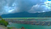 KONDISI Danau Batur usai semburan belerang beberapa waktu lalu kembali normal. Tapi petani ikan kawasan terdampak, kini dihadapkan persoalan sulitnya mendapat bibit ikan. Foto: ist KONDISI Danau Batur usai semburan belerang beberapa waktu lalu kembali normal. Tapi petani ikan kawasan terdampak, kini dihadapkan persoalan sulitnya mendapat bibit ikan. Foto: ist