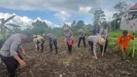 PENANAMAN jagung serentak kuartal IV di laba Pura Puseh Demayu, Singakerta. Foto: ist PENANAMAN jagung serentak kuartal IV di laba Pura Puseh Demayu, Singakerta. Foto: ist
