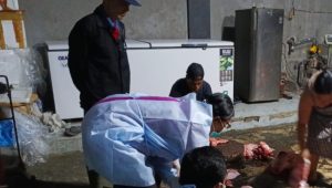 PUSKESWAN Gianyar mengingatkan masyarakat dan pelaku usaha pemotongan babi, agar memperhatikan pengolahan limbah sebelum dibuang ke lingkungan. Foto: ist