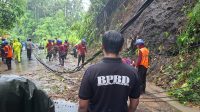 PENANGANAN pohon tumbang oleh personel BPBD Tabanan saat terjadi hujan lebat. Foto: ist PENANGANAN pohon tumbang oleh personel BPBD Tabanan saat terjadi hujan lebat. Foto: ist