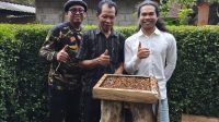 MADE Bayu (kanan) didampingi mantan Bupati Bangli I Nengah Arnawa (tengah) saat panen madu kele. Foto: ist MADE Bayu (kanan) didampingi mantan Bupati Bangli I Nengah Arnawa (tengah) saat panen madu kele. Foto: ist