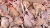 STOK daging ayam di Gianyar Surplus. Foto: ist STOK daging ayam di Gianyar Surplus. Foto: ist