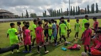 perseden u11