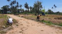 PENATAAN kawasan pengembangan permukiman di Gianyar. Foto: ist PENATAAN kawasan pengembangan permukiman di Gianyar. Foto: ist