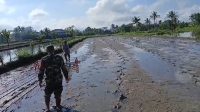PEMKAB Bangli menjalankan program Pertanian Modern Advanced Agricultural System (PM-AAS) yang dimotori Kementerian Pertanian. Untuk di Bangli, program ini ditarget seluas 453 hektar tahun 2026. Program PM-AAS perdana dilakukan di Subak Tembuku Kawan, Kecamatan Tembuku. Foto: ist PEMKAB Bangli menjalankan program Pertanian Modern Advanced Agricultural System (PM-AAS) yang dimotori Kementerian Pertanian. Untuk di Bangli, program ini ditarget seluas 453 hektar tahun 2026. Program PM-AAS perdana dilakukan di Subak Tembuku Kawan, Kecamatan Tembuku. Foto: ist