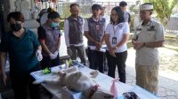 BUPATI Satria meninjau pelaksanaan sterilisasi dan vaksinasi terhadap hewan penular rabies seperti anjing dan kucing di Desa Gunaksa, Kecamatan Dawan, Kamis (13/8/2026). Foto: ist BUPATI Satria meninjau pelaksanaan sterilisasi dan vaksinasi terhadap hewan penular rabies seperti anjing dan kucing di Desa Gunaksa, Kecamatan Dawan, Kamis (13/8/2026). Foto: ist