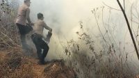 KEBAKARAN hutan melanda kawasan Taman Wisata Alam (TWA) Gunung Batur Blok Seked, Desa Batur Selatan, Kecamatan Kintamani, Bangli, Minggu (30/8/2026) siang, melahap sekitar 2 hektare lahan hutan. Foto: ist KEBAKARAN hutan melanda kawasan Taman Wisata Alam (TWA) Gunung Batur Blok Seked, Desa Batur Selatan, Kecamatan Kintamani, Bangli, Minggu (30/8/2026) siang, melahap sekitar 2 hektare lahan hutan. Foto: ist