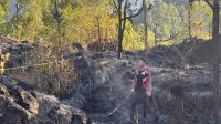 KEBAKARAN hutan melanda Blok Seked Gunung Batur, Desa Batur Selatan, Kintamani. Tim gabungan BPBD, Damkar, TNI, Polri, serta warga setempat diterjunkan melakukan pemadaman maraton di lokasi. Foto: ist KEBAKARAN hutan melanda Blok Seked Gunung Batur, Desa Batur Selatan, Kintamani. Tim gabungan BPBD, Damkar, TNI, Polri, serta warga setempat diterjunkan melakukan pemadaman maraton di lokasi. Foto: ist