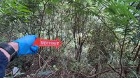POLISI melakukan olah TKP di lokasi I Wayan Asung (70), warga Desa Subaya, Kecamatan Kintamani, Bangli, yang ditemukan dalam kondisi tidak bernyawa di jurang wilayah Subak Tupade, Sabtu (8/8/2026) malam lalu. Mayat korban ditemukan tersangkut di pohon juwet. Foto: ist POLISI melakukan olah TKP di lokasi I Wayan Asung (70), warga Desa Subaya, Kecamatan Kintamani, Bangli, yang ditemukan dalam kondisi tidak bernyawa di jurang wilayah Subak Tupade, Sabtu (8/8/2026) malam lalu. Mayat korban ditemukan tersangkut di pohon juwet. Foto: ist