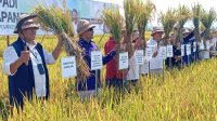 PANEN padi bersama program Piloting Perakitan dan Modernisasi Kawasan Padi dengan teknologi Pertanian Modern-Agriculture Advanced System (PM-AAS). Foto: ist PANEN padi bersama program Piloting Perakitan dan Modernisasi Kawasan Padi dengan teknologi Pertanian Modern-Agriculture Advanced System (PM-AAS). Foto: ist