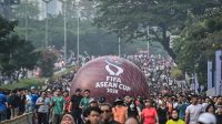 fifa asean cup