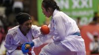 karate-lat AG