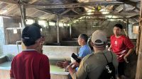 POLSEK Blahbatuh bersama Dinas Lingkungan Hidup (DLH) Gianyar, Satpol PP, dan perangkat desa kembali mengecek kandang babi milik I Ketut Darsana, Senin (12/10/2026). Foto: ist POLSEK Blahbatuh bersama Dinas Lingkungan Hidup (DLH) Gianyar, Satpol PP, dan perangkat desa kembali mengecek kandang babi milik I Ketut Darsana, Senin (12/10/2026). Foto: ist