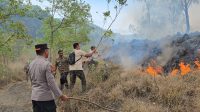 KAWASAN hutan Kintamani kembali dilalap si jago merah. Kali ini, kebakaran melanda kawasan hutan wisata Padang Sengker, Banjar Yehmampeh, Desa Batur Selatan, Kecamatan Kintamani, Kabupaten Bangli, Selasa (6/10/2026). Foto: ist KAWASAN hutan Kintamani kembali dilalap si jago merah. Kali ini, kebakaran melanda kawasan hutan wisata Padang Sengker, Banjar Yehmampeh, Desa Batur Selatan, Kecamatan Kintamani, Kabupaten Bangli, Selasa (6/10/2026). Foto: ist